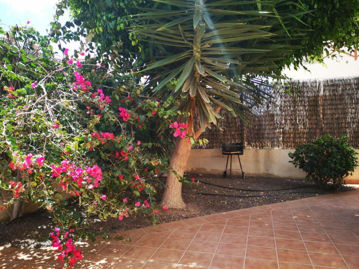 Casa Silencio, Villa With Terrace, Garden And Large Pool Area Коралео Екстериор снимка